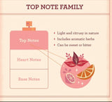 STIYA ORLEANS ATTAR CONCENTRATED NON ALCOHOLIC PERFUME